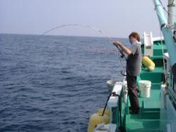 大阪のステラフィッシングが、厳選した大物釣具を全国へお届けいたし ...